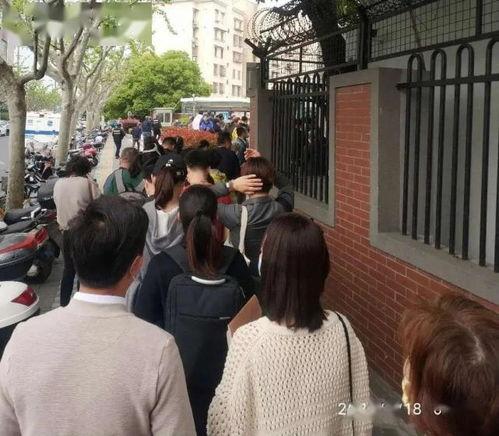 深圳离婚最新爆料排队,最新爆料揭示排队离婚背后的社会现象